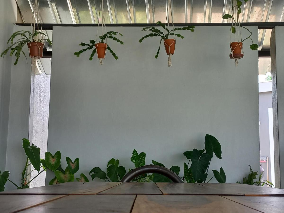 Urban Farm Haus Guesthouse Рунду Экстерьер фото